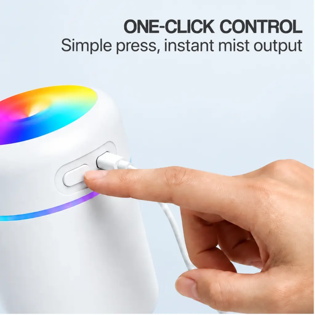 5.webp