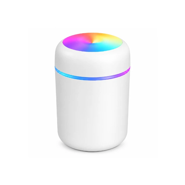H20 Humidifier